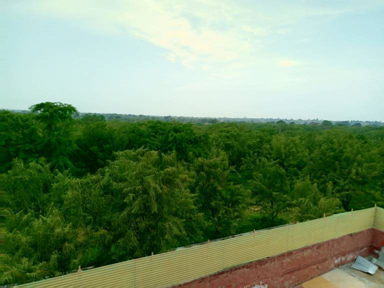 foto14