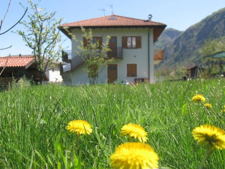 foto6