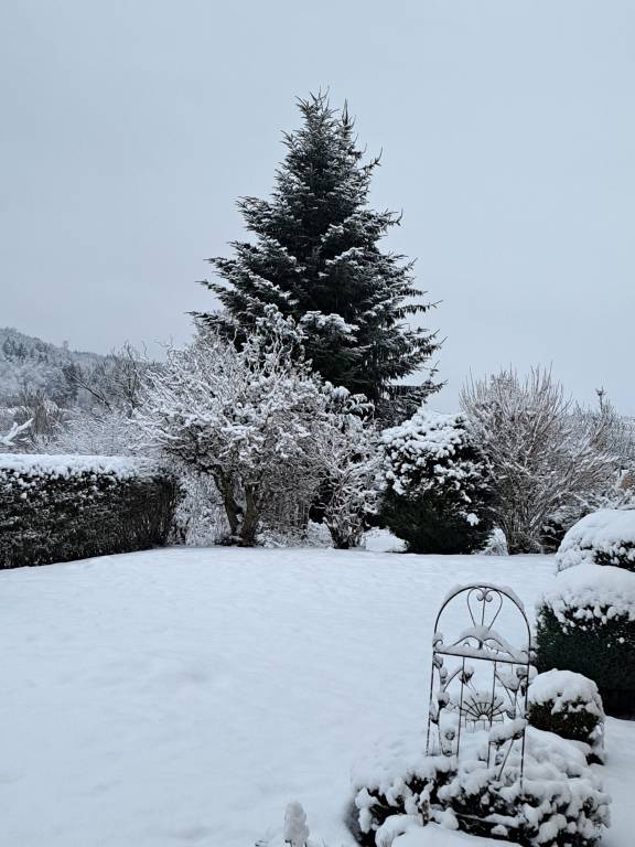 foto5