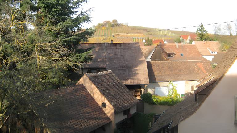 foto2