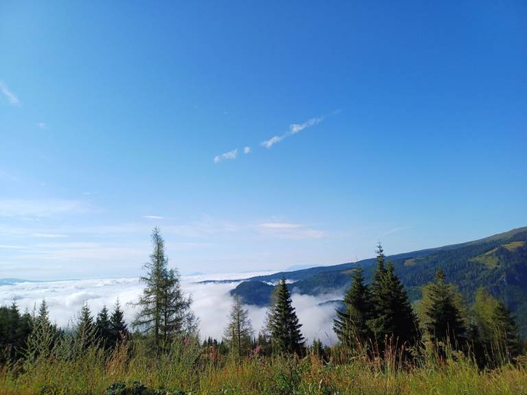 foto7