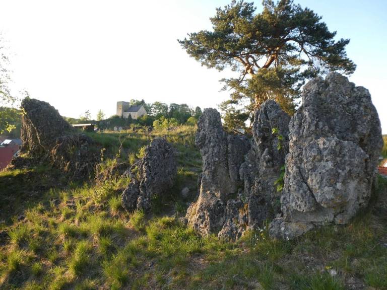 foto23
