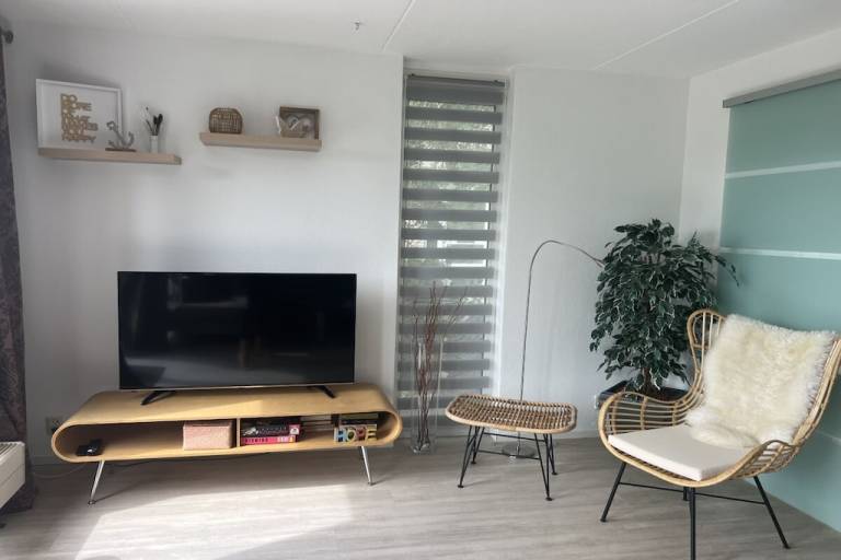 foto7