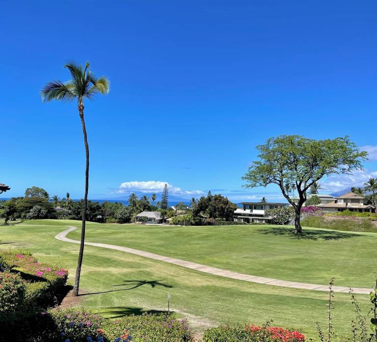 Villa  Wailea