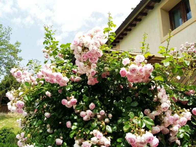 foto24
