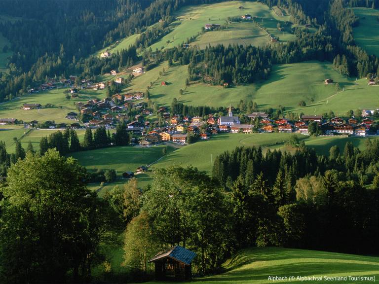 foto11
