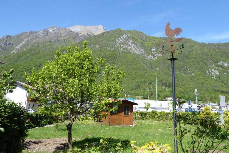 foto8