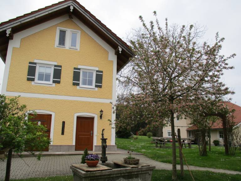 foto18