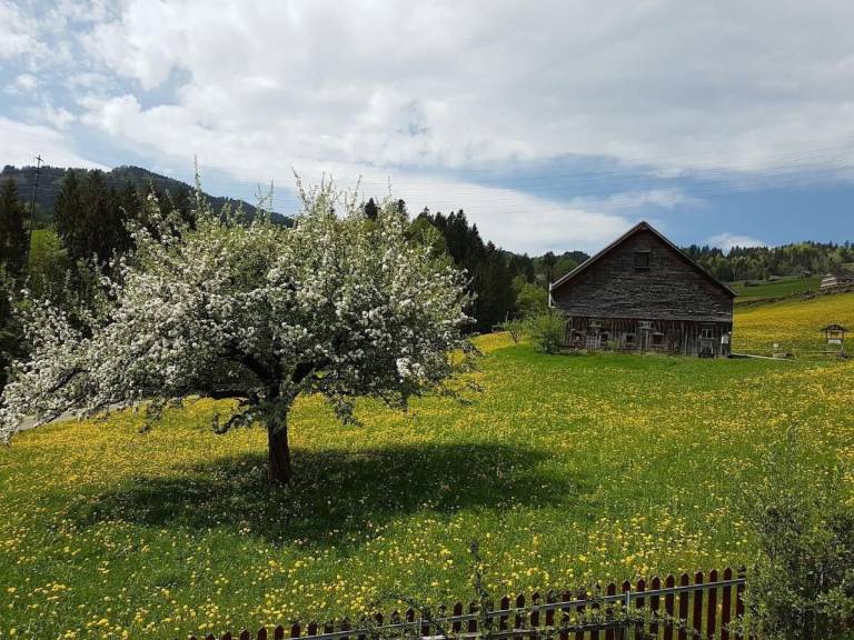 foto13