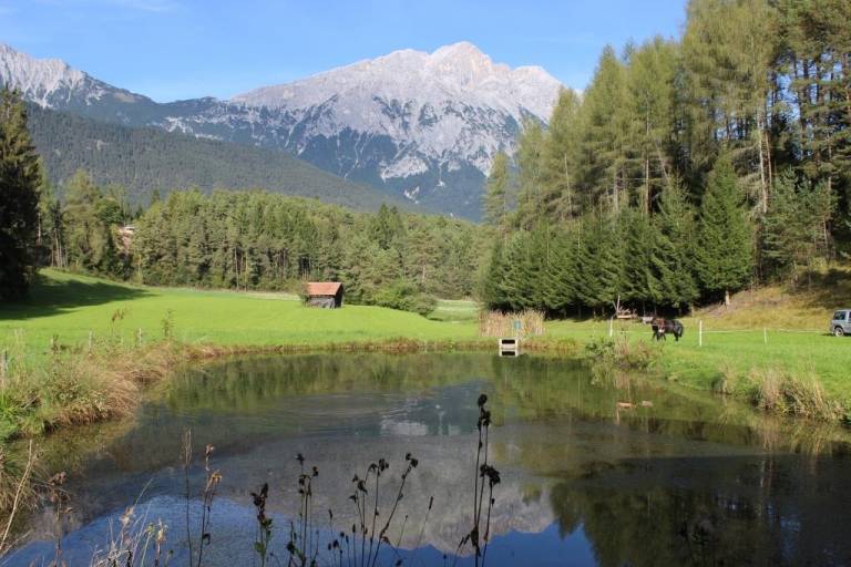 foto4