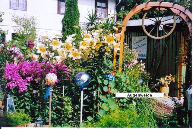 foto10