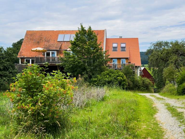 foto20