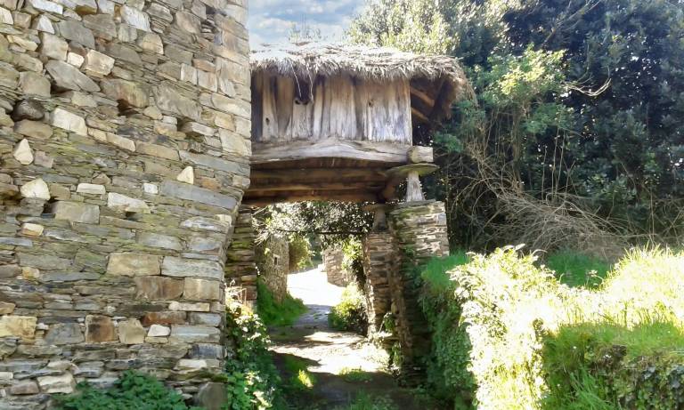 foto41