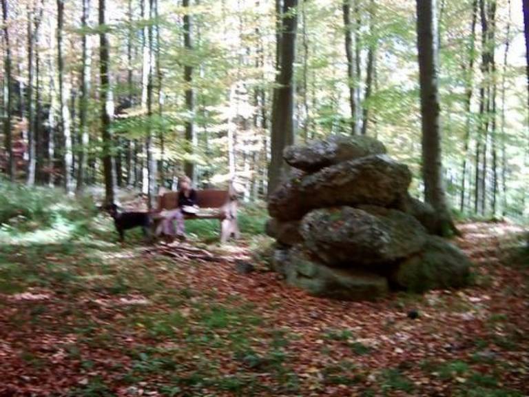 foto11