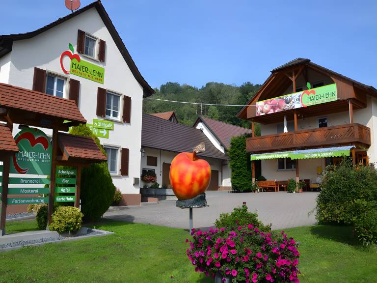foto26