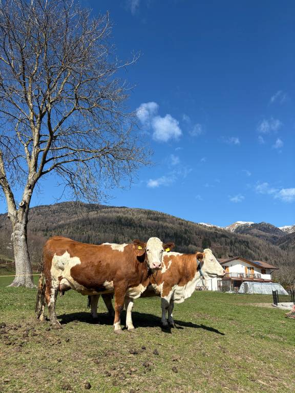 foto11