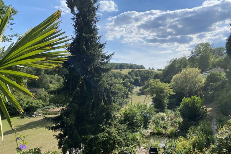foto16