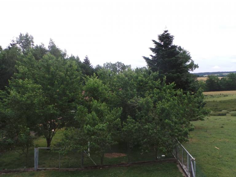 foto9