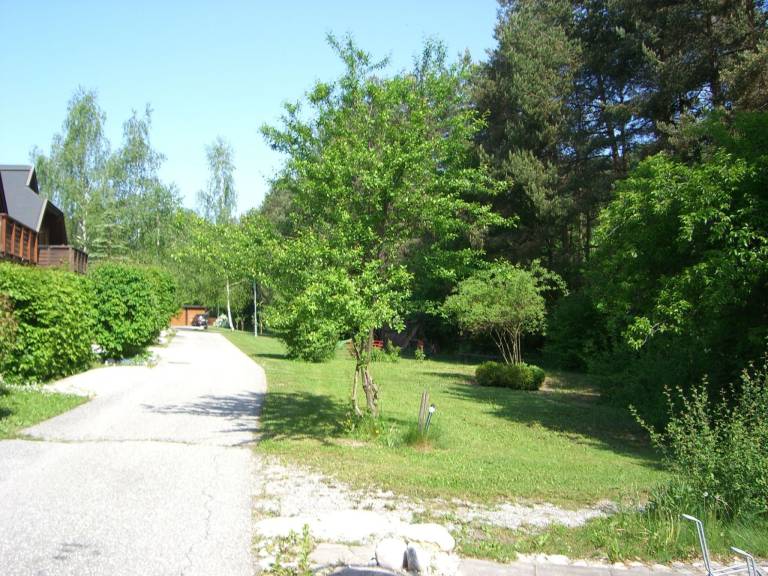 foto15