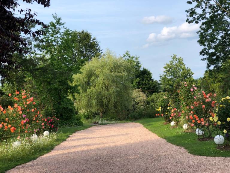 foto27