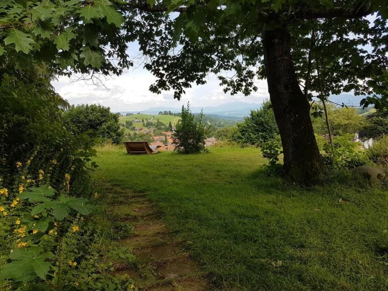 foto12