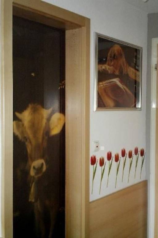foto9