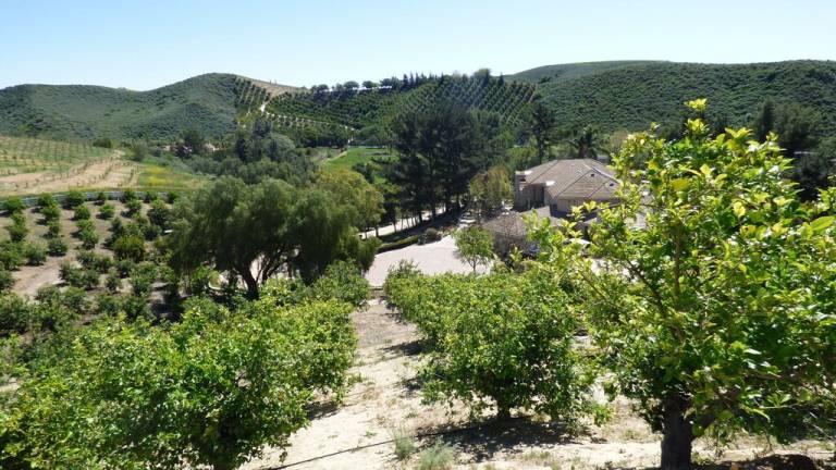 Cabin Moorpark