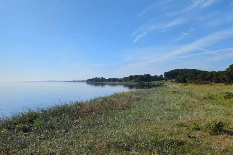 foto16