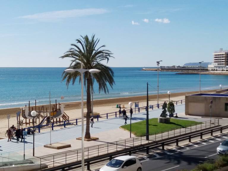 Condo  Alicante