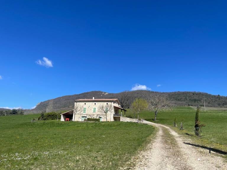 foto15