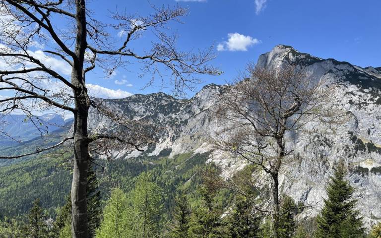 foto28