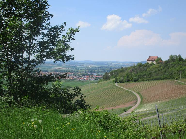 foto16