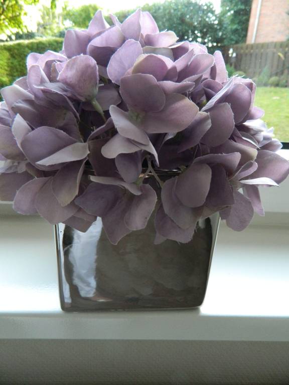 foto16