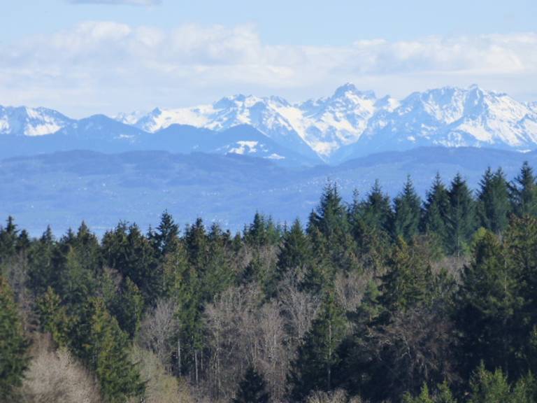 foto35