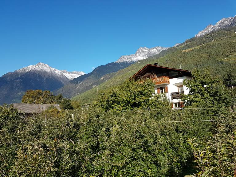 foto20