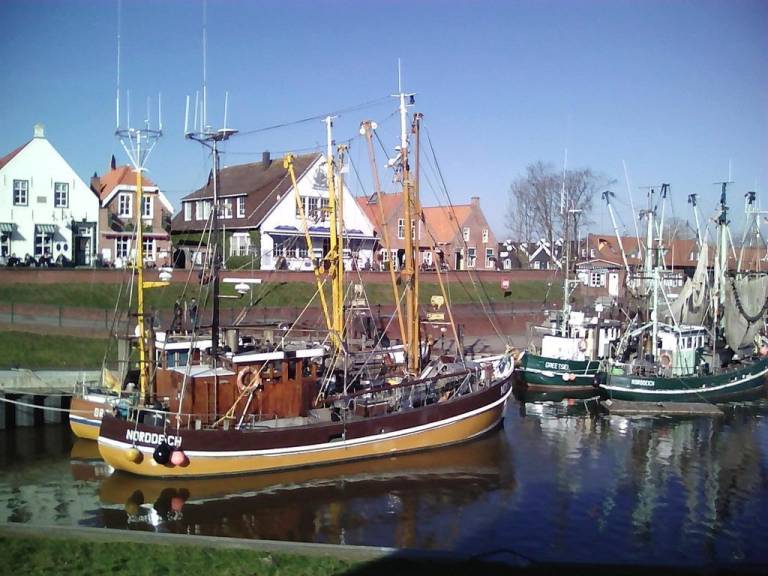 foto15