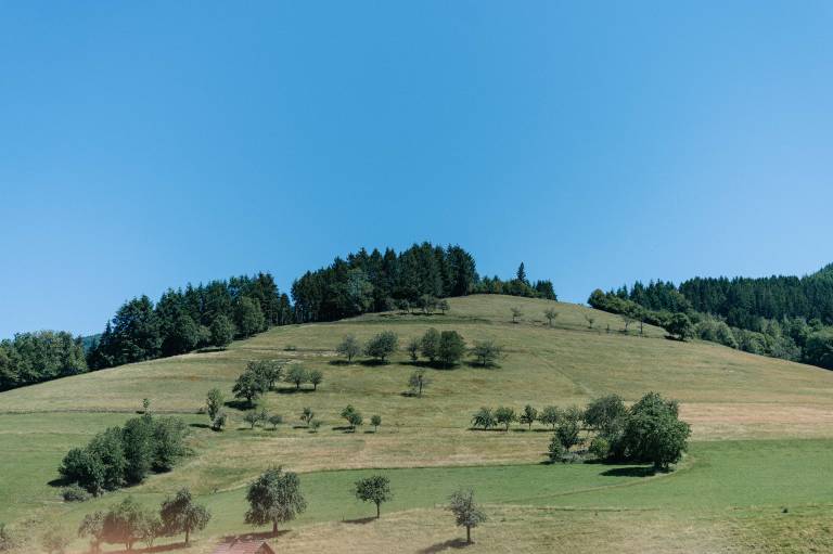 foto23