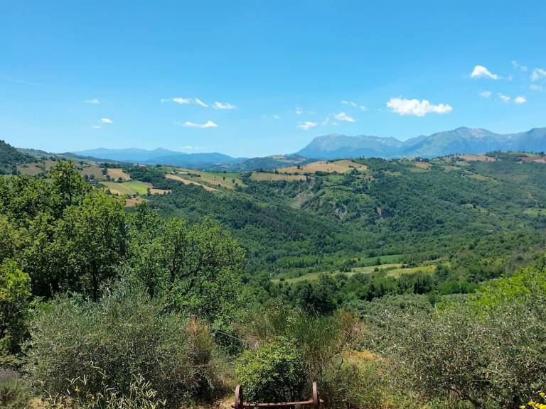 foto17