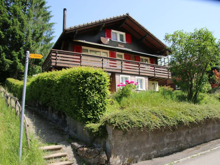 foto1