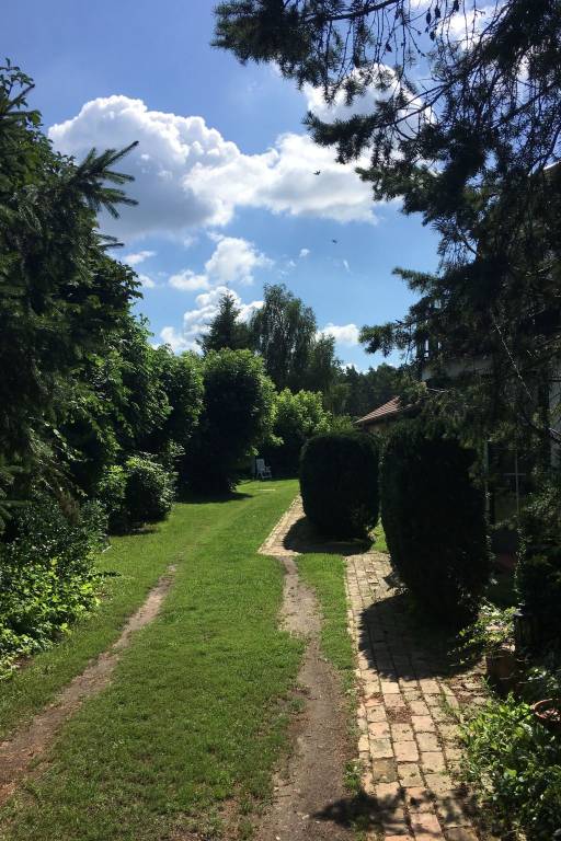 foto11
