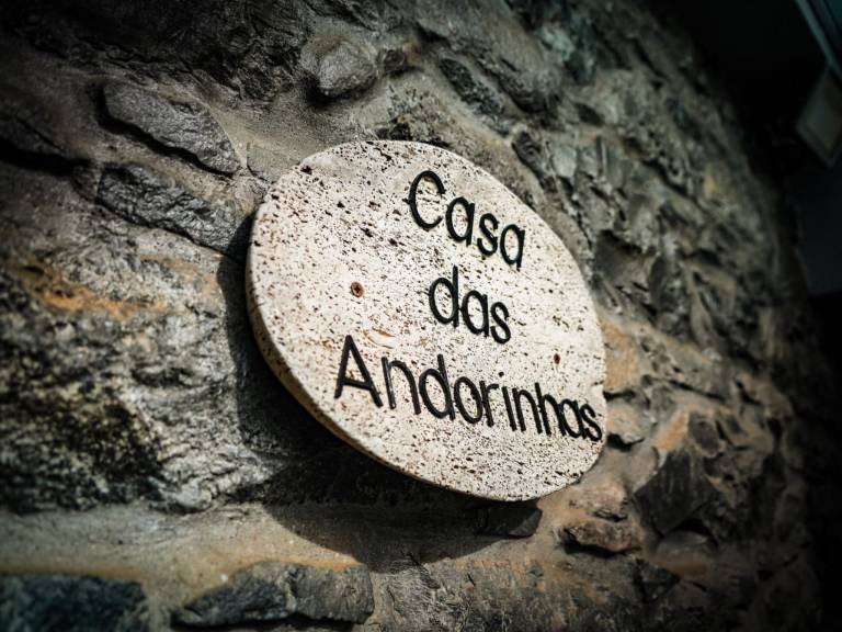 foto49