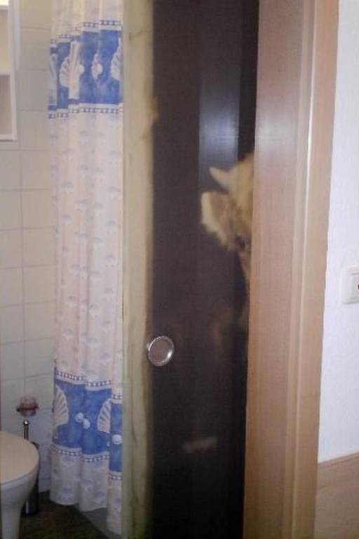 foto10
