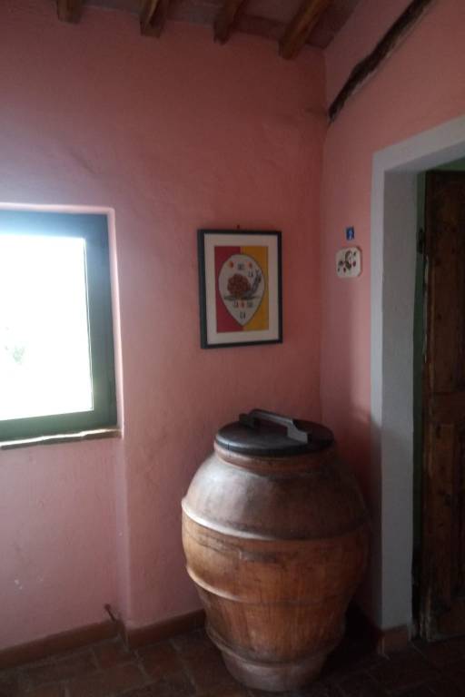 foto20