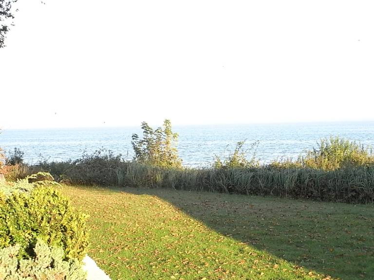 foto28