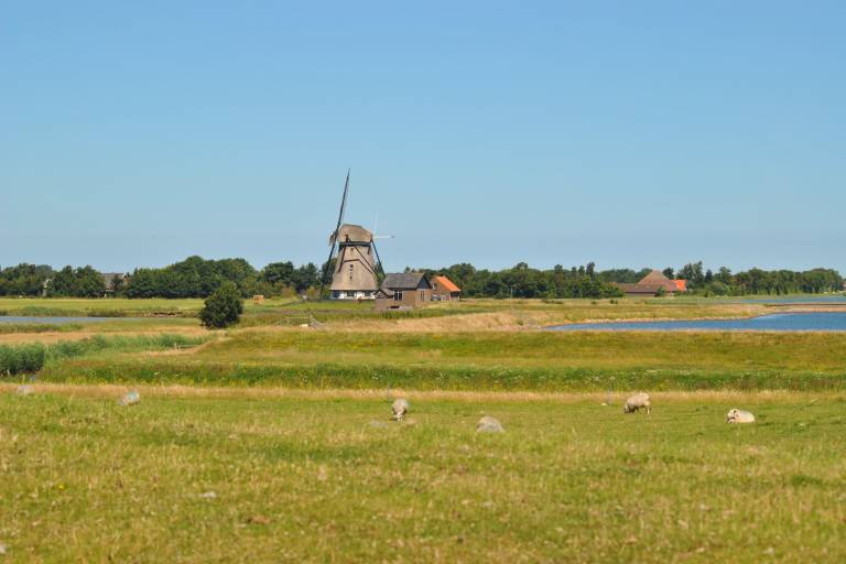 foto16