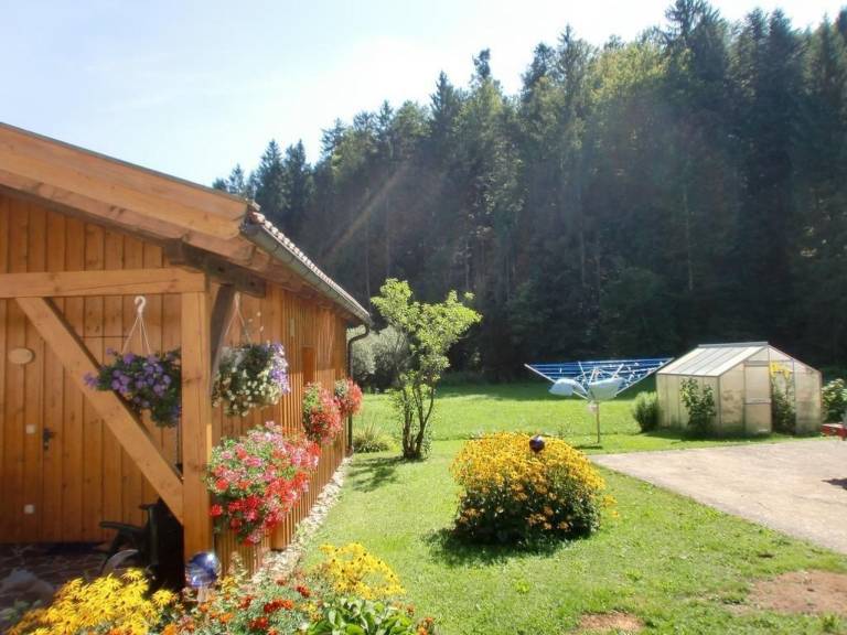 foto1