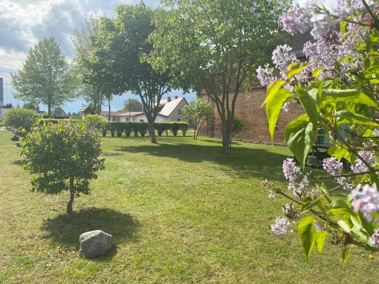 foto15
