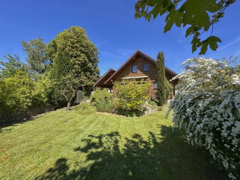 foto29