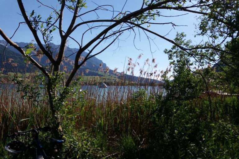 foto16