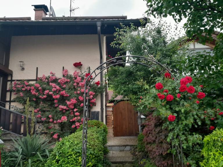 foto44